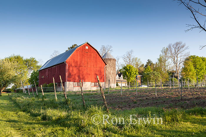 Farming in Prince Edward County, ON