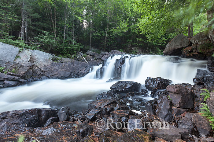 Brooks Falls, Ontario