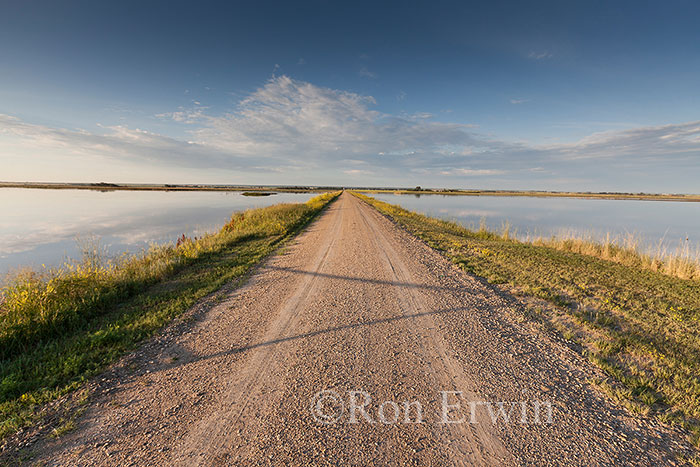 Road into Whitewater Lake