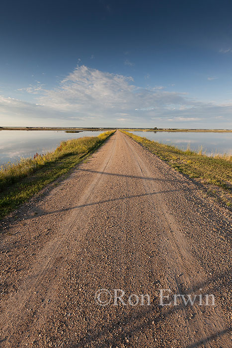 Road into Whitewater Lake