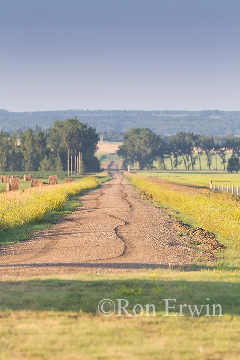 Country Road in Southern Manitoba