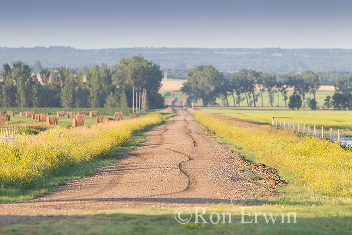 Country Road in Southern Manitoba