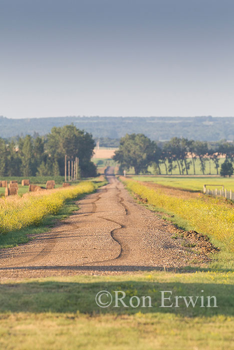 Country Road in Southern Manitoba