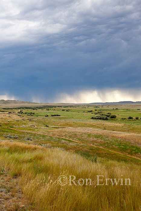 Storm in Grasslands