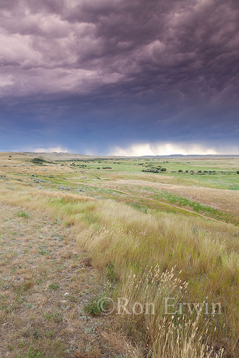 Storm in Grasslands