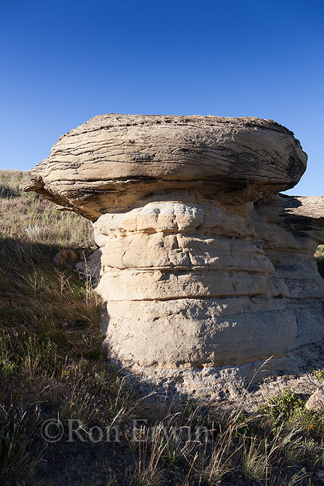 Writing-on-Stone Provincial Park