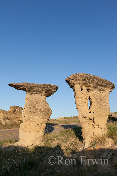 Hoodoos in Alberta Badlands