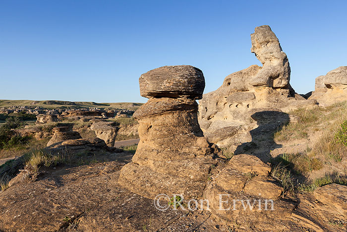Hoodoos in Alberta Badlands