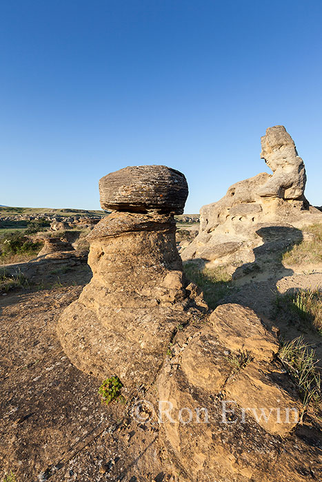 Hoodoos in Alberta Badlands
