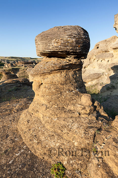 Hoodoos in Alberta Badlands