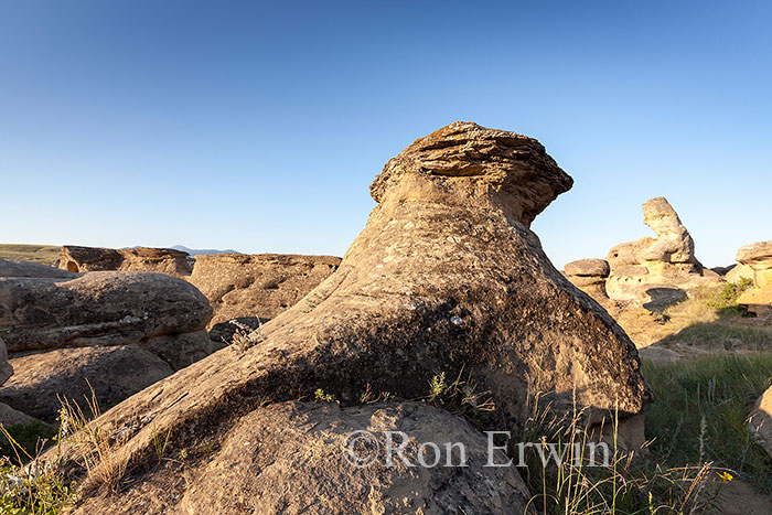 Hoodoos in Alberta Badlands