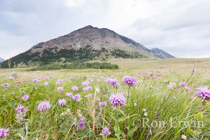 Waterton Lakes National Park, AB
