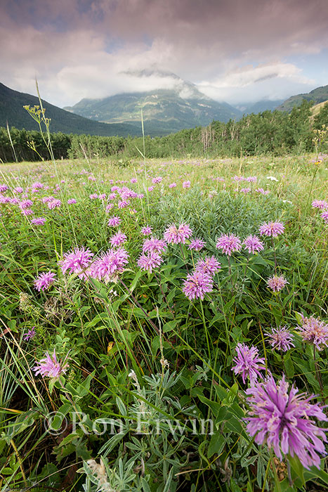 Waterton Lakes National Park, AB
