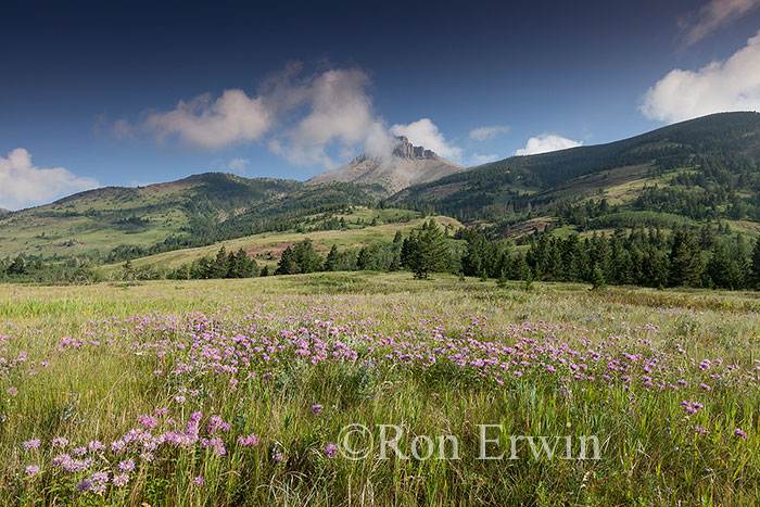 Waterton Lakes National Park, AB