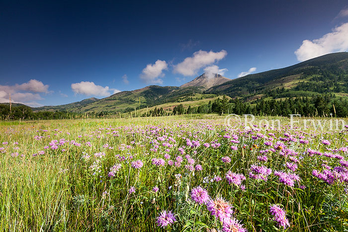 Waterton Lakes National Park, AB