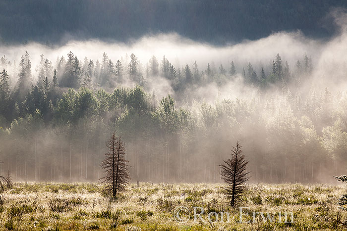 Kananaskis Country, Alberta