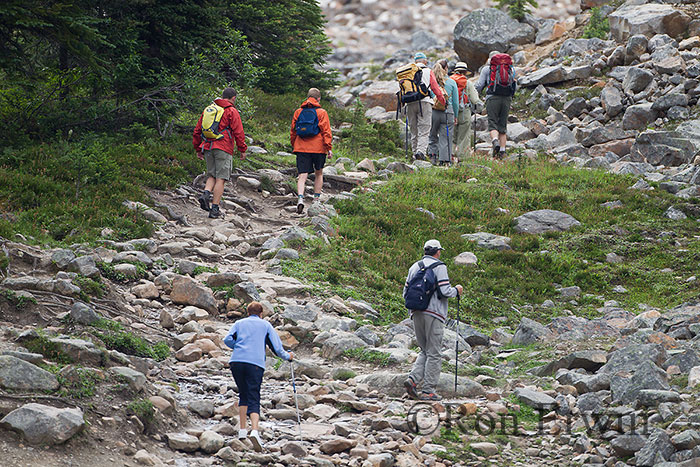 Hiking on Mount Edith Cavell