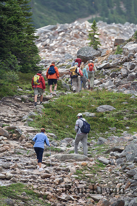 Hiking on Mount Edith Cavell