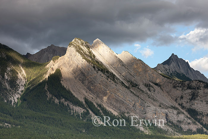 Canadian Rockies in Jasper, AB
