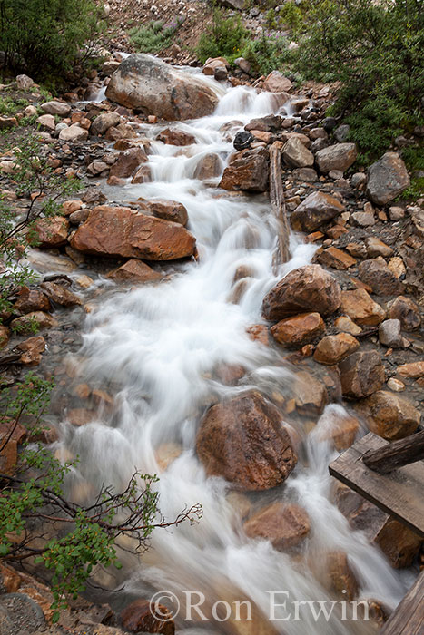 Teahouse Creek, Jasper