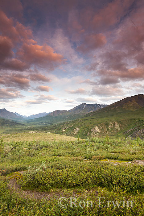 Tombstone Viewpoint, Yukon