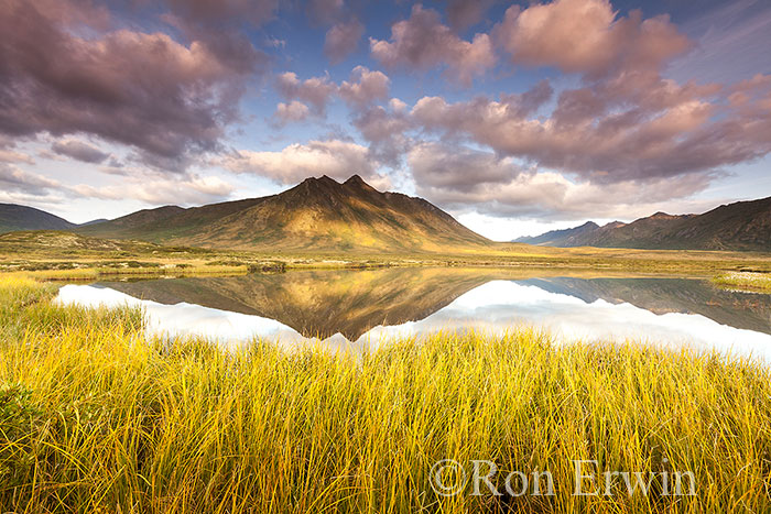 Tombstone Territorial Park, YT