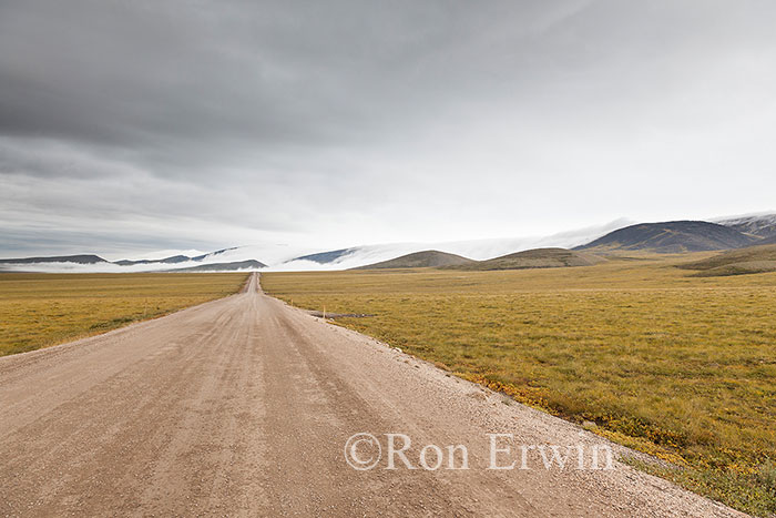 Dempster Highway, Yukon