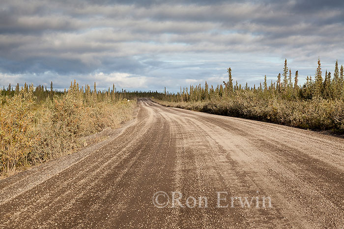 Dempster Highway, NWT