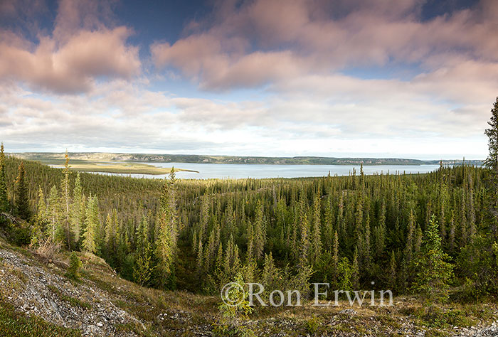 Gwich'in Territorial Park Reserve, NWT