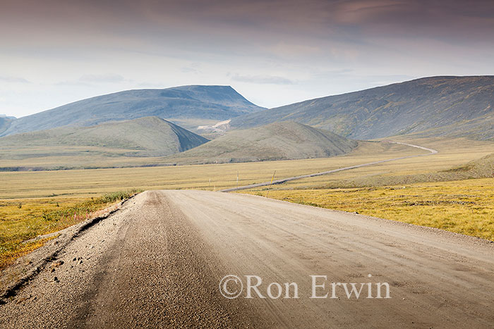 Dempster Highway, Yukon