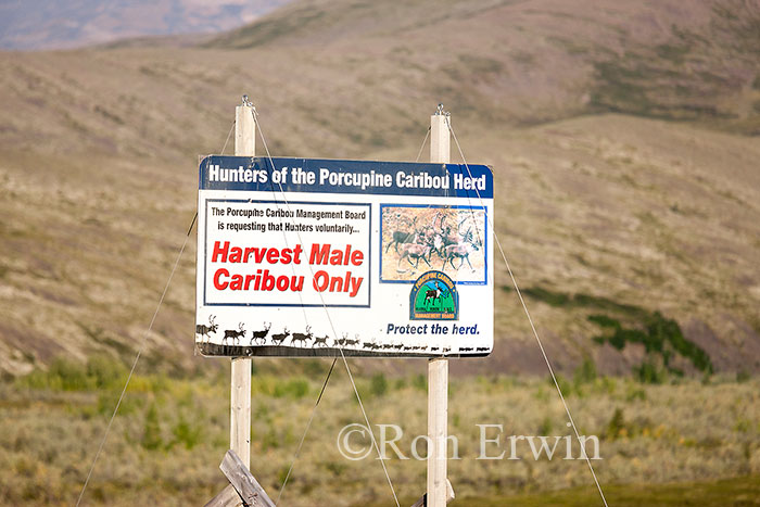 Sign for Caribou Hunters