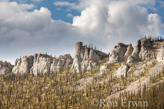 Mountains with Tors in the Yukon