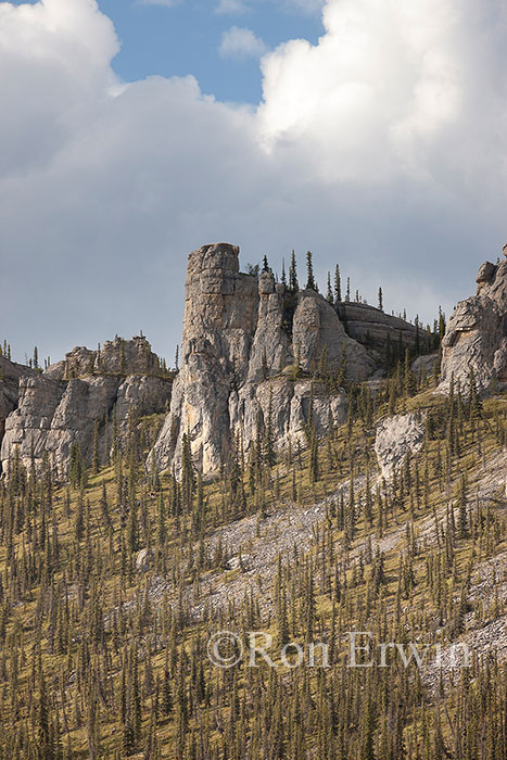 Mountains with Tors in the Yukon