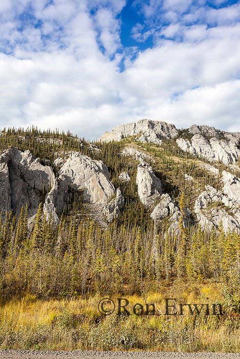 Sapper Hill (Divii Ddhaa), Yukon