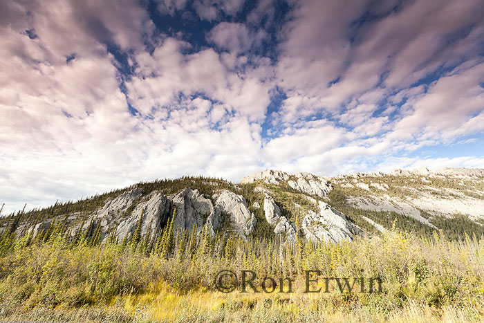 Sapper Hill (Divii Ddhaa), Yukon