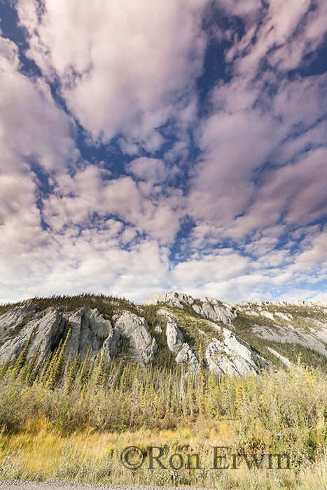 Sapper Hill (Divii Ddhaa), Yukon