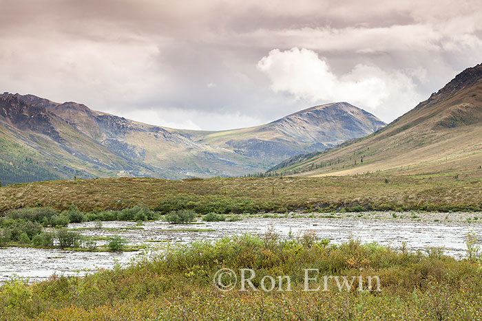 North Klondike River, YT