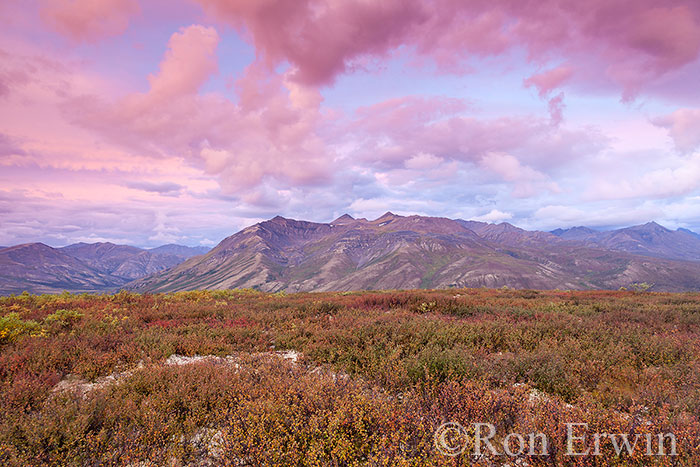 Tombstone Territorial Park, YT