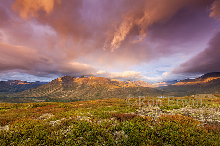 Tombstone Territorial Park, YT