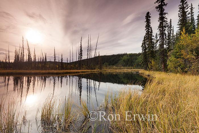 Alaska Sunset