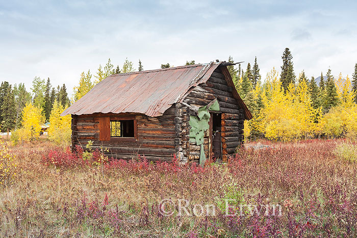 Old Cabin, Alaska