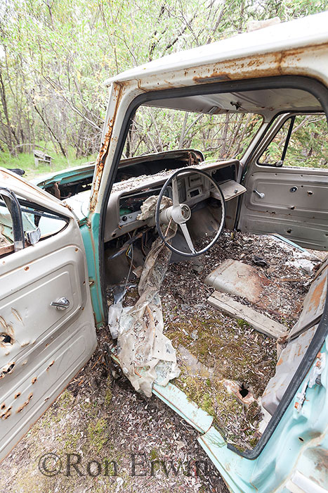 Abandoned Truck