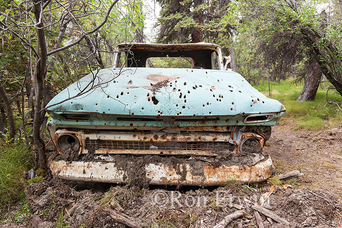 Abandoned Truck