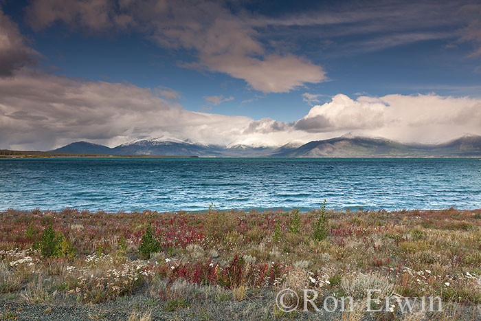 Kluane Lake, Yukon