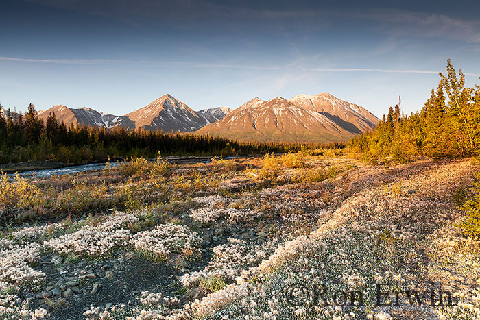 Quill Creek, Kluane, YT