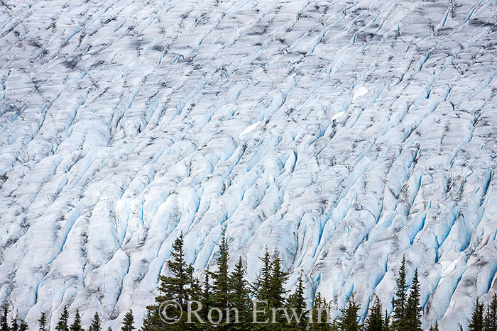 Salmon Glacier, BC