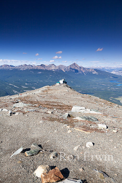 View from Whistlers Jasper, AB