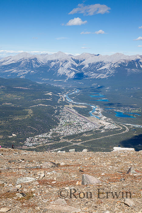 View from Whistlers Jasper, AB
