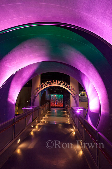 Royal Tyrrell Museum Time Tunnel