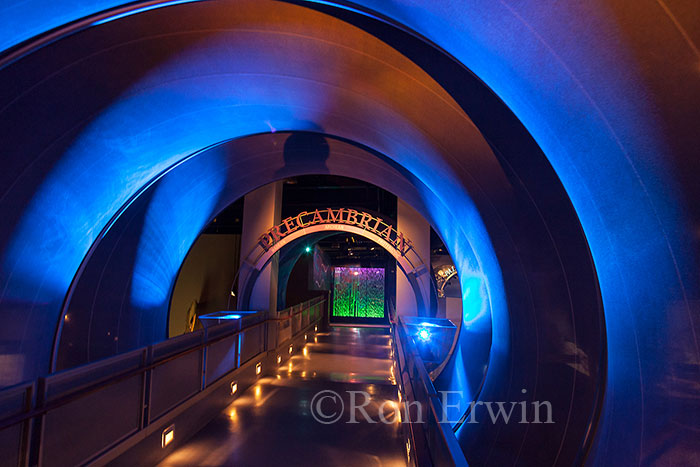 Royal Tyrrell Museum Time Tunnel